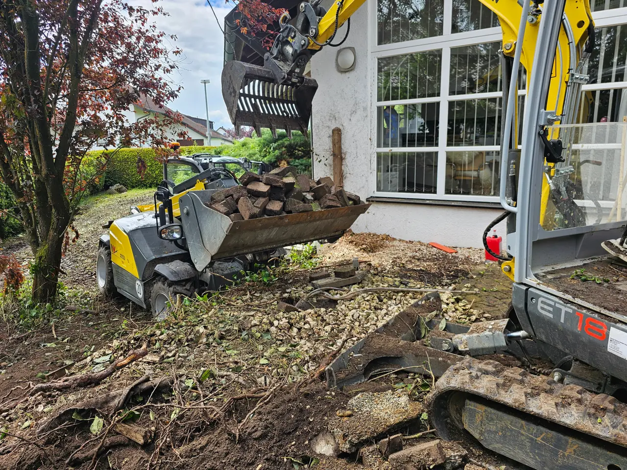 Bepflanzung im Garten in Dellmensingen