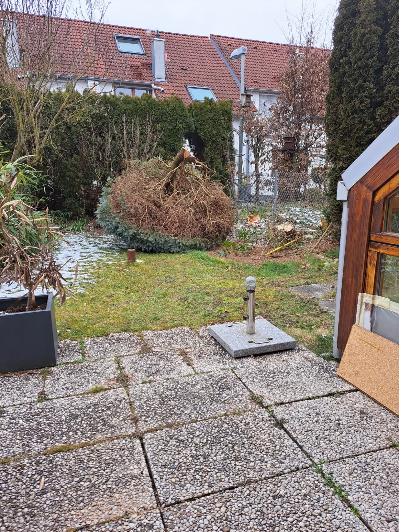 Gartenneuanlage mit Rasen und Pflasterweg in Gögglingen